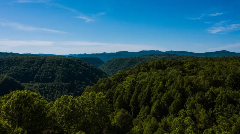 Overlooked and Undervalued: The Case for Appalachian Coal Equities in a Skeptic's Market